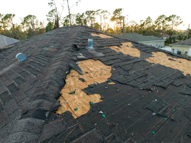 Siding in Murphys Estates, SC